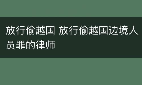 放行偷越国 放行偷越国边境人员罪的律师
