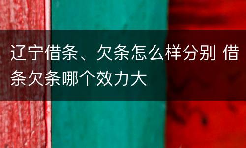辽宁借条、欠条怎么样分别 借条欠条哪个效力大