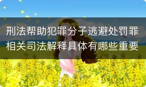 刑法帮助犯罪分子逃避处罚罪相关司法解释具体有哪些重要内容