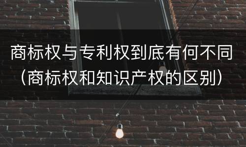 商标权与专利权到底有何不同（商标权和知识产权的区别）