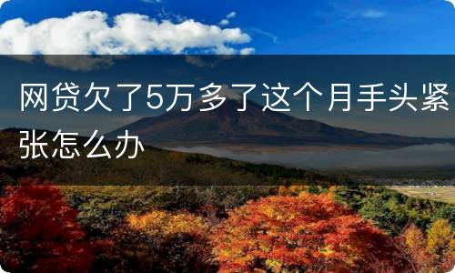 网贷欠了5万多了这个月手头紧张怎么办