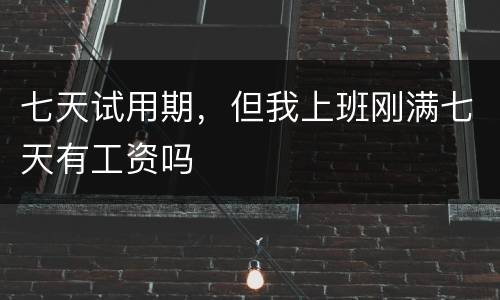 七天试用期，但我上班刚满七天有工资吗