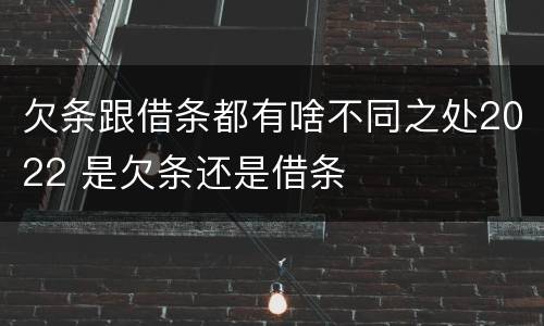 欠条跟借条都有啥不同之处2022 是欠条还是借条