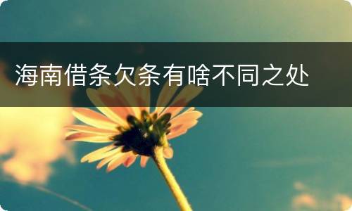 海南借条欠条有啥不同之处