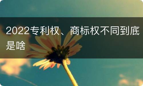 2022专利权、商标权不同到底是啥