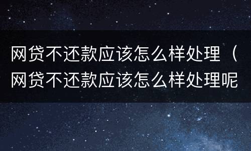 网贷不还款应该怎么样处理（网贷不还款应该怎么样处理呢）