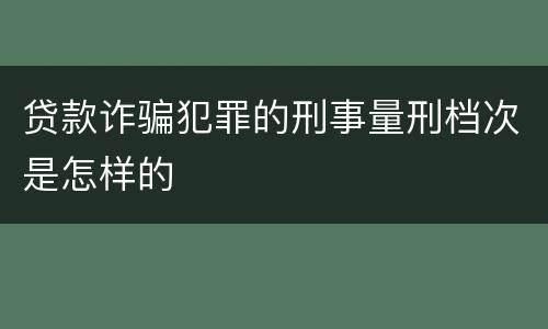 贷款诈骗犯罪的刑事量刑档次是怎样的