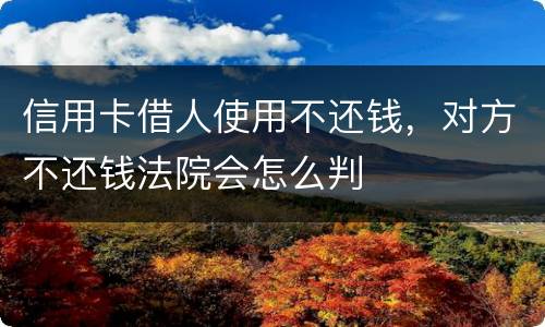 信用卡借人使用不还钱，对方不还钱法院会怎么判