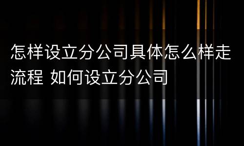 怎样设立分公司具体怎么样走流程 如何设立分公司