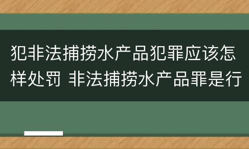 犯非法捕捞水产品犯罪应该怎样处罚 非法捕捞水产品罪是行为犯吗