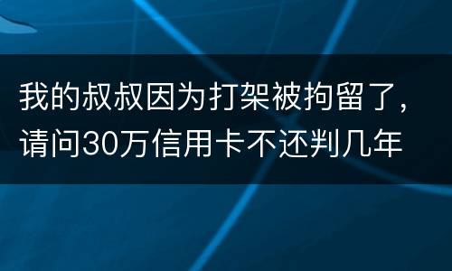 我的叔叔因为打架被拘留了，请问30万信用卡不还判几年