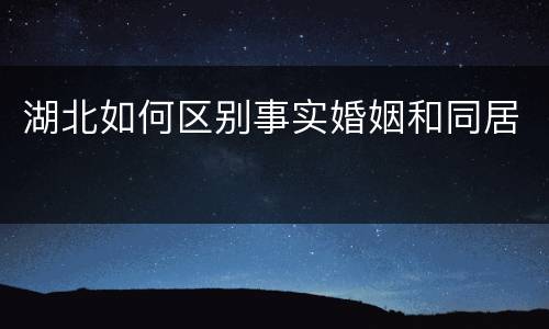 湖北如何区别事实婚姻和同居