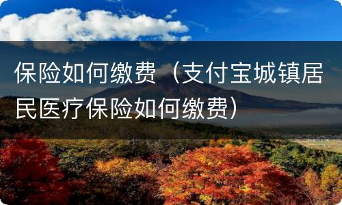保险如何缴费（支付宝城镇居民医疗保险如何缴费）