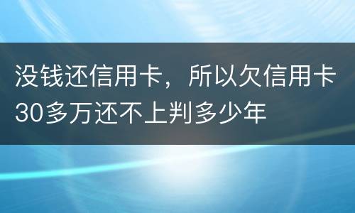 没钱还信用卡，所以欠信用卡30多万还不上判多少年
