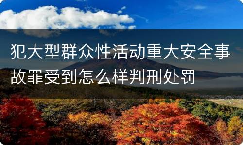 犯大型群众性活动重大安全事故罪受到怎么样判刑处罚
