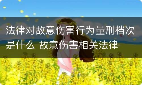 法律对故意伤害行为量刑档次是什么 故意伤害相关法律