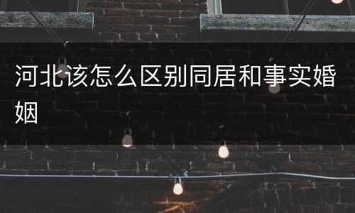 河北该怎么区别同居和事实婚姻
