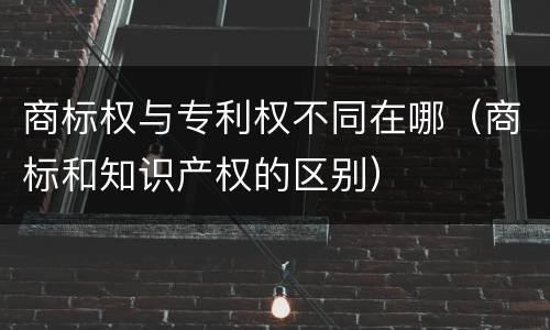 商标权与专利权不同在哪（商标和知识产权的区别）