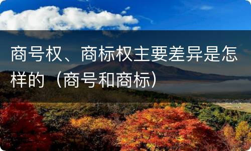 商号权、商标权主要差异是怎样的（商号和商标）