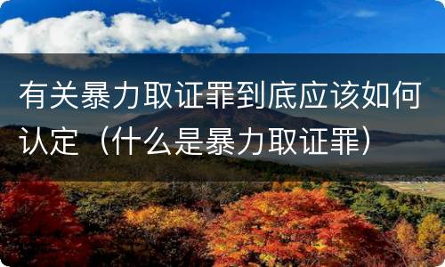 有关暴力取证罪到底应该如何认定（什么是暴力取证罪）