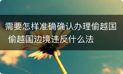 需要怎样准确确认办理偷越国 偷越国边境违反什么法