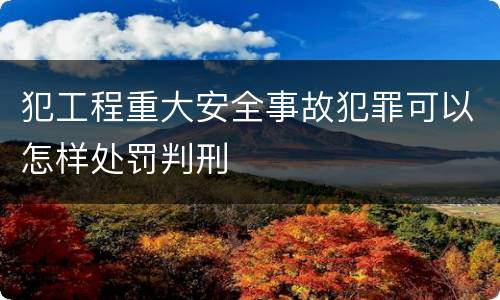 犯工程重大安全事故犯罪可以怎样处罚判刑