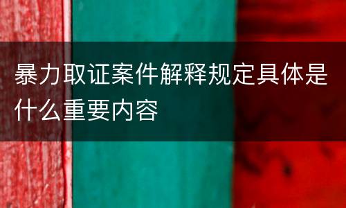 暴力取证案件解释规定具体是什么重要内容
