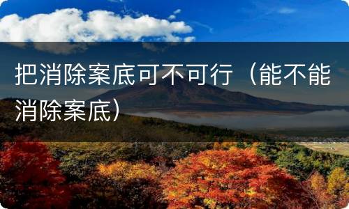 把消除案底可不可行（能不能消除案底）