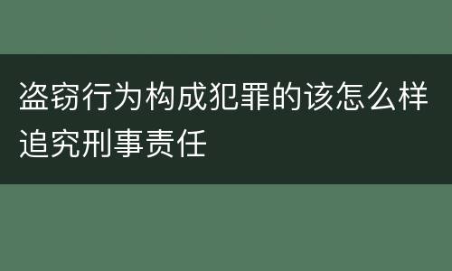 盗窃行为构成犯罪的该怎么样追究刑事责任