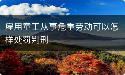 雇用童工从事危重劳动可以怎样处罚判刑