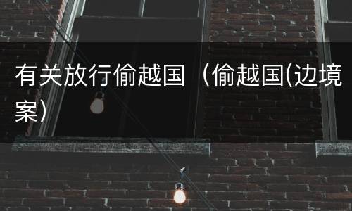 有关放行偷越国（偷越国(边境案）