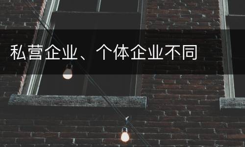 私营企业、个体企业不同