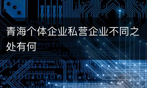 青海个体企业私营企业不同之处有何