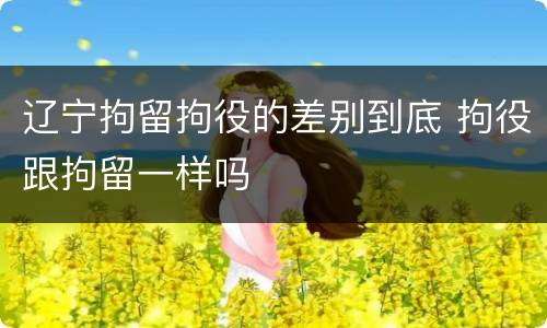 辽宁拘留拘役的差别到底 拘役跟拘留一样吗