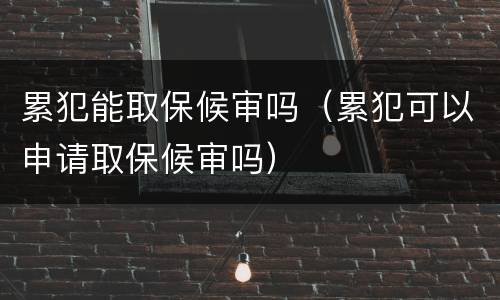 累犯能取保候审吗（累犯可以申请取保候审吗）