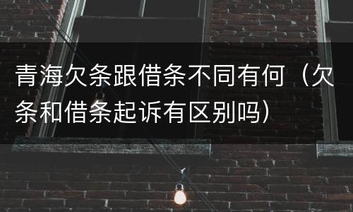 青海欠条跟借条不同有何（欠条和借条起诉有区别吗）