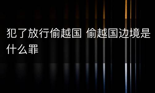 犯了放行偷越国 偷越国边境是什么罪