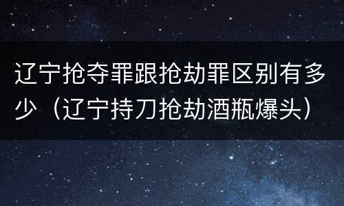 辽宁抢夺罪跟抢劫罪区别有多少（辽宁持刀抢劫酒瓶爆头）