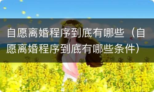 自愿离婚程序到底有哪些（自愿离婚程序到底有哪些条件）