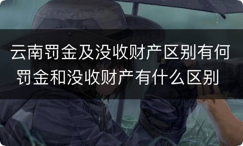 云南罚金及没收财产区别有何 罚金和没收财产有什么区别