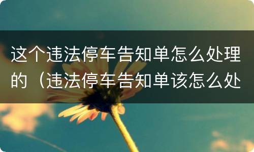 这个违法停车告知单怎么处理的（违法停车告知单该怎么处理）
