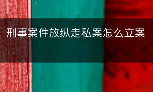 刑事案件放纵走私案怎么立案