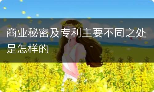 商业秘密及专利主要不同之处是怎样的