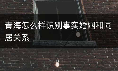 青海怎么样识别事实婚姻和同居关系