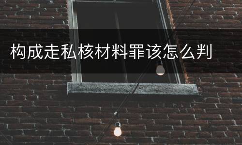 构成走私核材料罪该怎么判