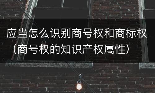 应当怎么识别商号权和商标权（商号权的知识产权属性）