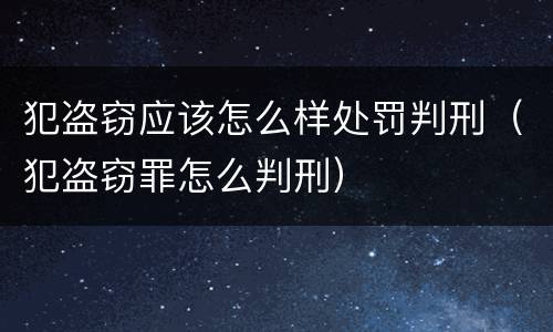犯盗窃应该怎么样处罚判刑（犯盗窃罪怎么判刑）