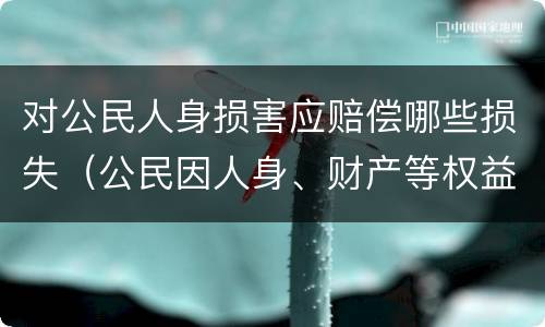 对公民人身损害应赔偿哪些损失（公民因人身、财产等权益受到损害）