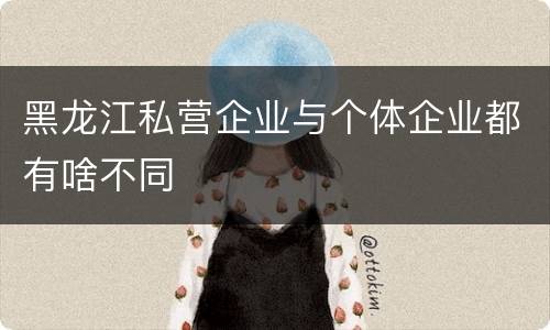 黑龙江私营企业与个体企业都有啥不同