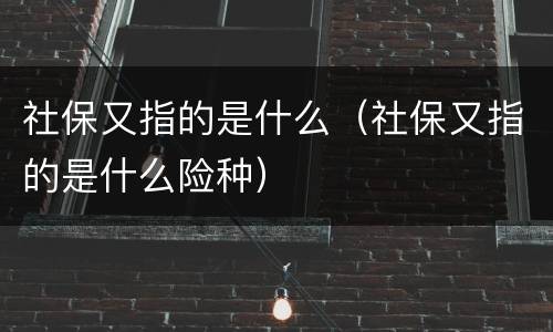 社保又指的是什么（社保又指的是什么险种）